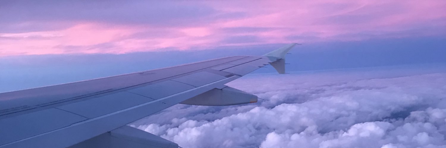 Christine Delécluse 🛫🍃 banner