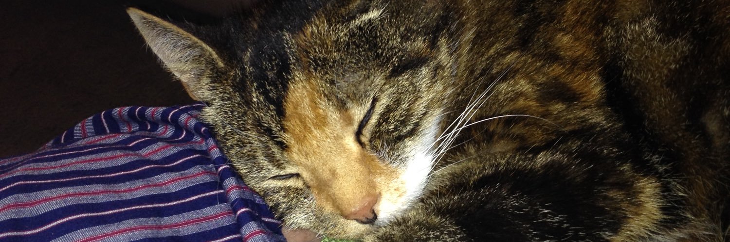 Nick Lock #KTTO banner