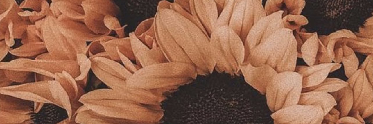 lunderthing's profile banner image
