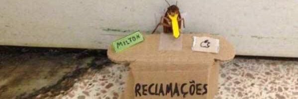 maaaayp's profile banner image