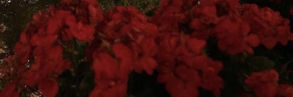 RahafAl_20's profile banner image