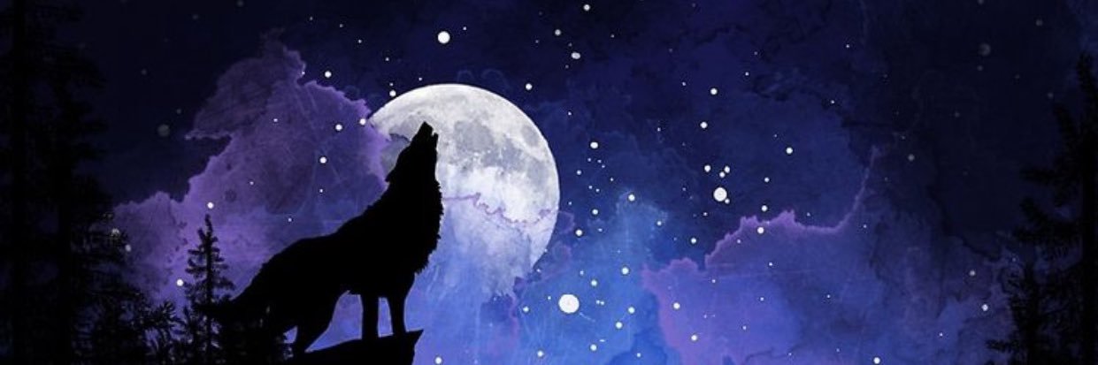 𝕎𝕆𝕃𝔽 𝕄𝕆𝕆ℕ banner