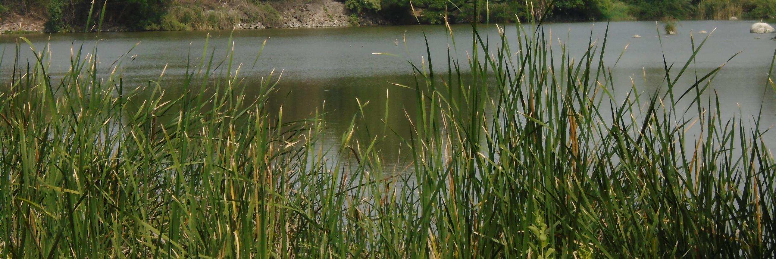 wonder of world banner