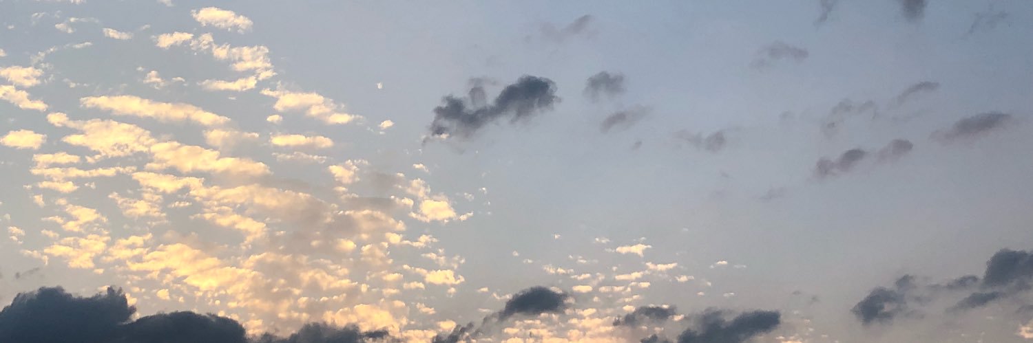 ema_vidal's profile banner image