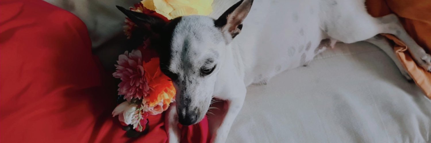 Martha Ramos Azcuaga🍒 banner
