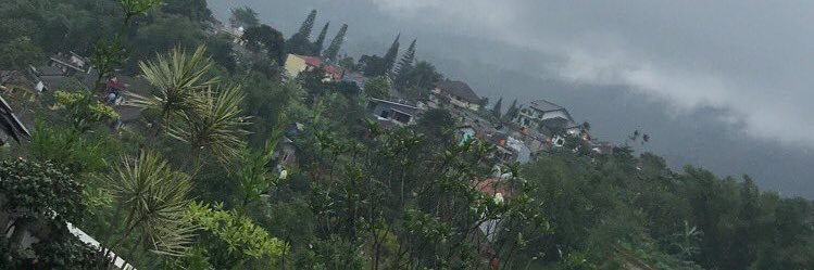 محمدالروقي banner