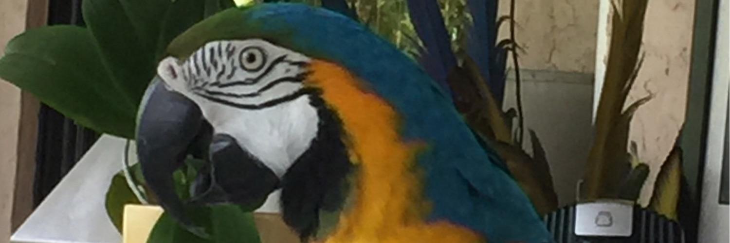 sonny907's profile banner image
