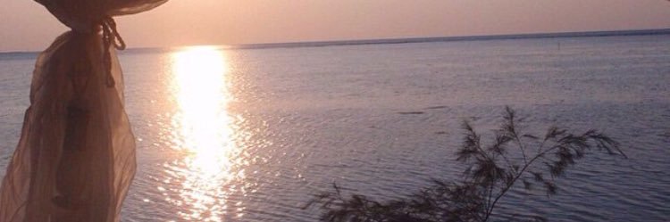 NuhaArenza's profile banner image