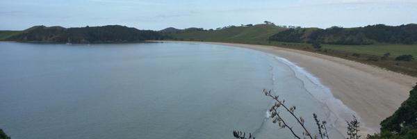 petergmayo Profile Banner