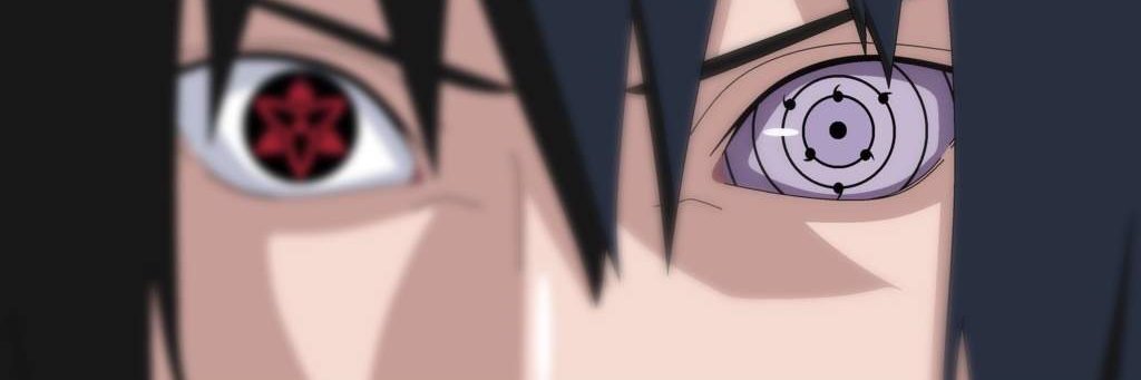 DAWG PAW PAW BEAR banner