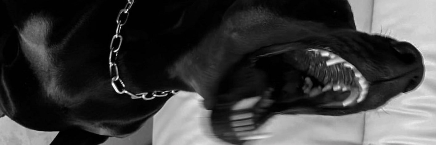 senbenlekal's profile banner image