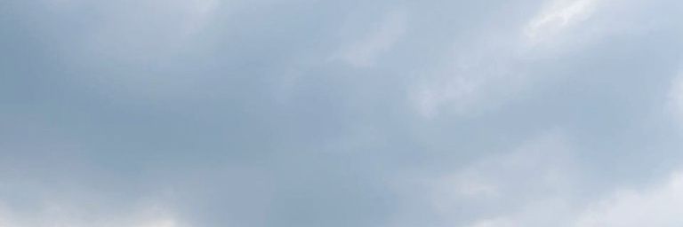 theyawns's profile banner image