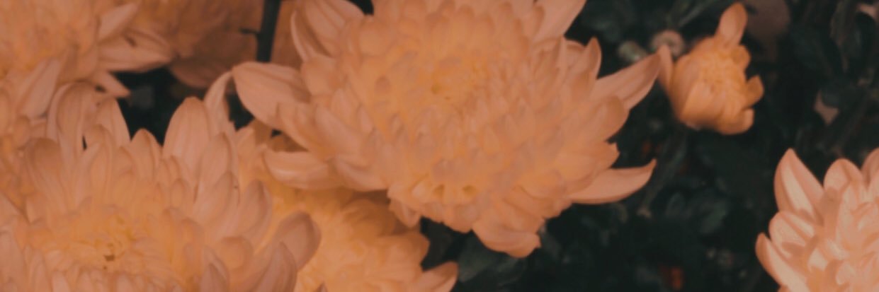 menrayy's profile banner image
