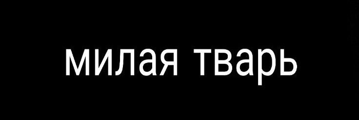 sasha_pack_95's profile banner image