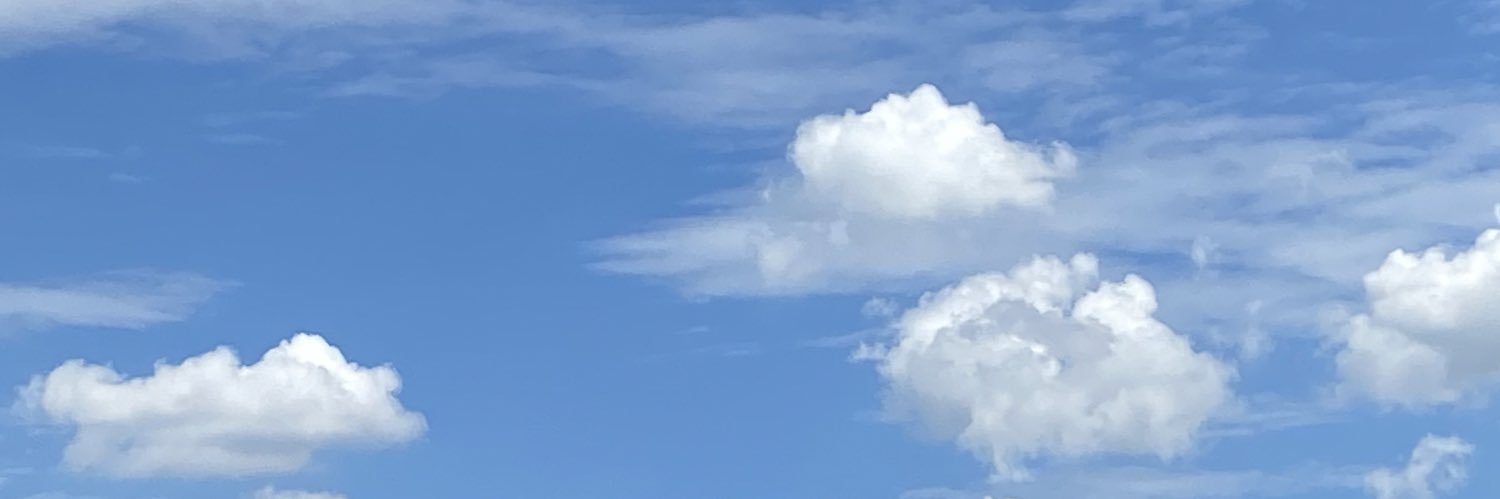 pslr12's profile banner image