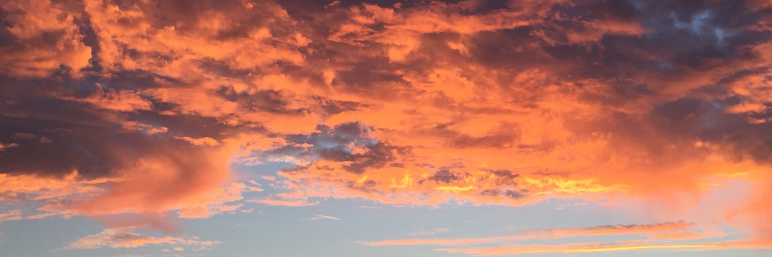 Rudy Loock 🌻 banner