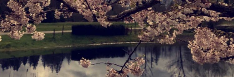 mado0o's profile banner image