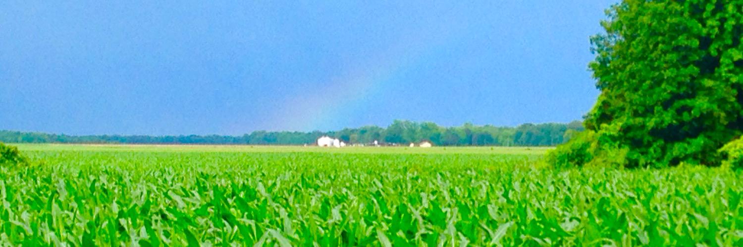 Farmbojohn's profile banner image