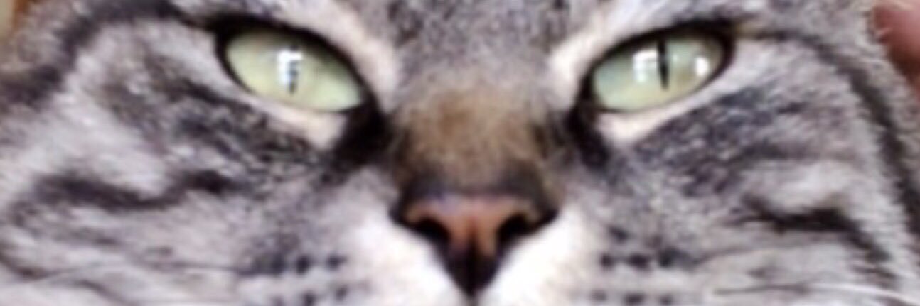 aembign's profile banner image