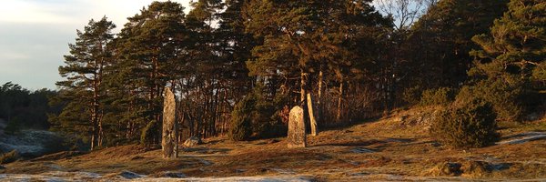 thirdxdystopia Profile Banner