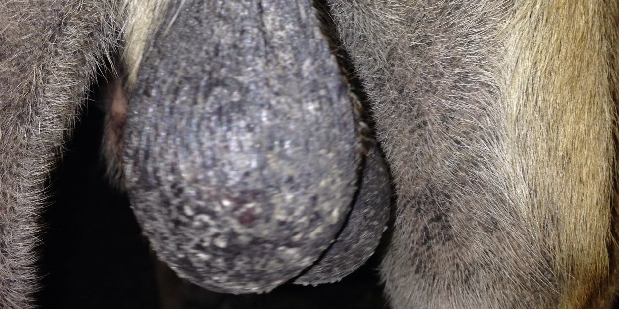 wha79's profile banner image