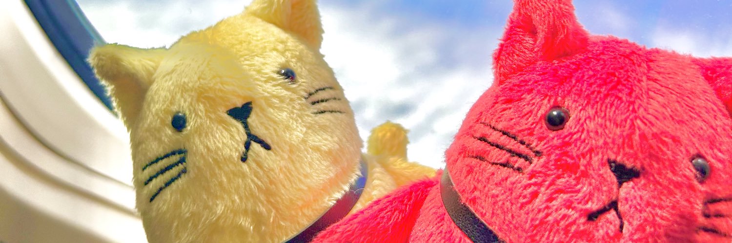 NN___Chax's profile banner image