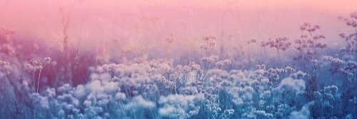 Gabibepe's profile banner image