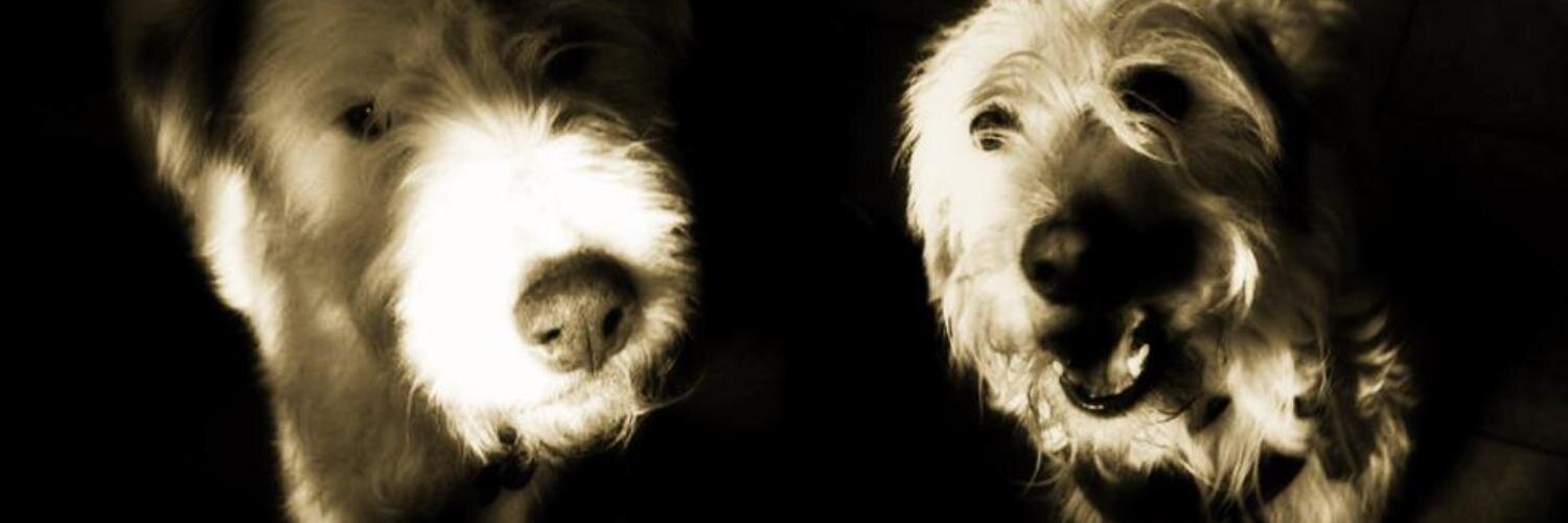sweet_cherry86's profile banner image