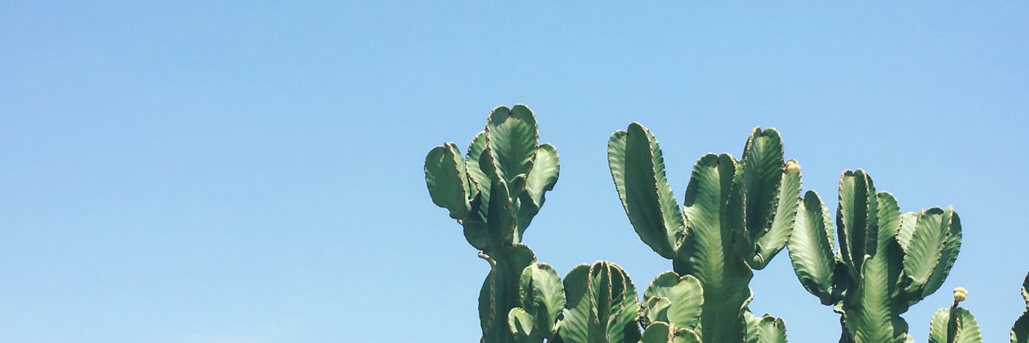 lenabatlle's profile banner image