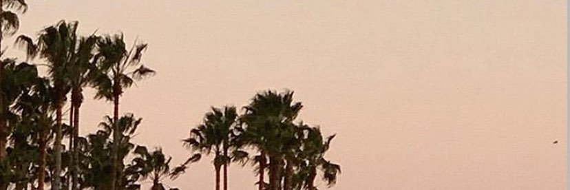 Queen7855221's profile banner image