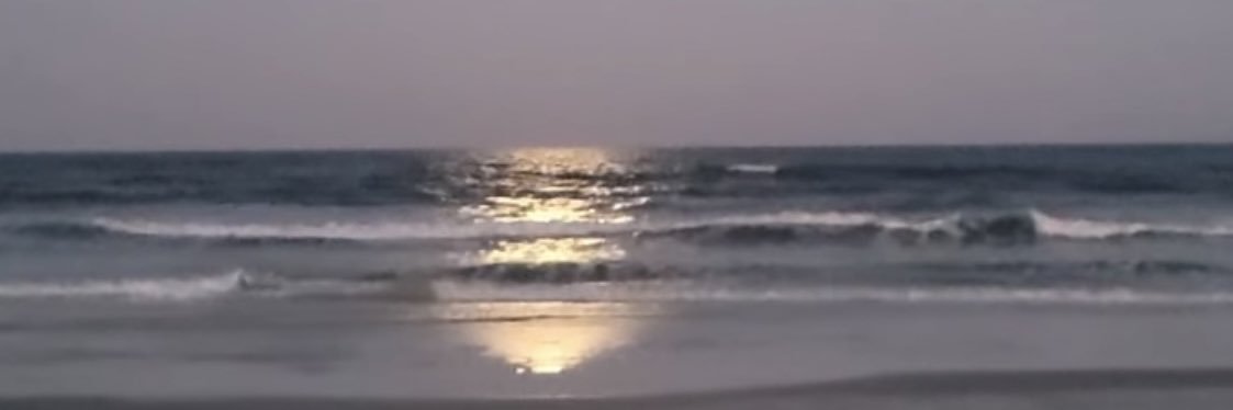 fidahaddad's profile banner image