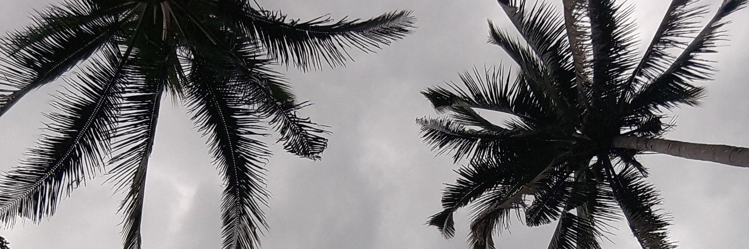 cassiideee's profile banner image