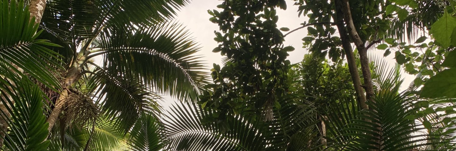 rymackenzie_'s profile banner image