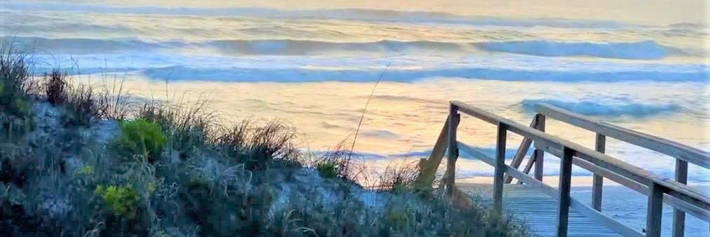 Sandra S. Bennett banner