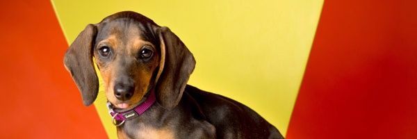 MilfordPhotog's profile banner image