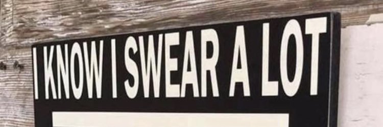 just_brandyann's profile banner image