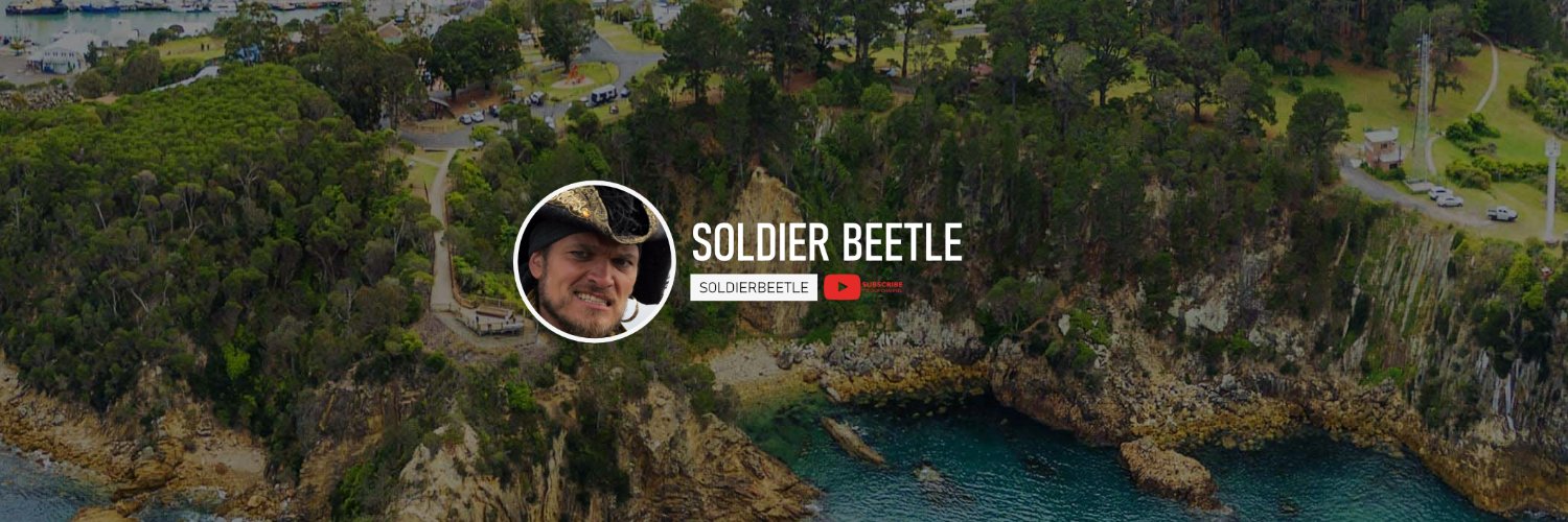 SoldierBeetle banner