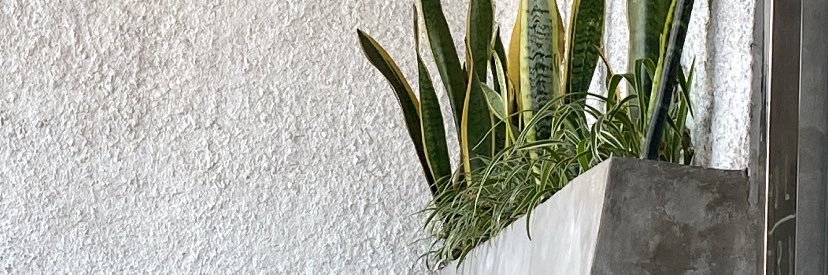 crunchmess's profile banner image