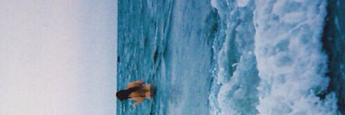 smithmadeline30's profile banner image