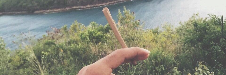 slc_vitu's profile banner image