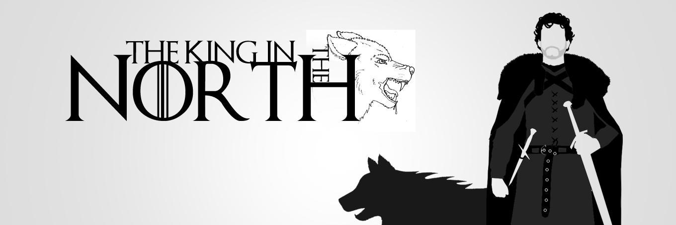 Robb Stark banner