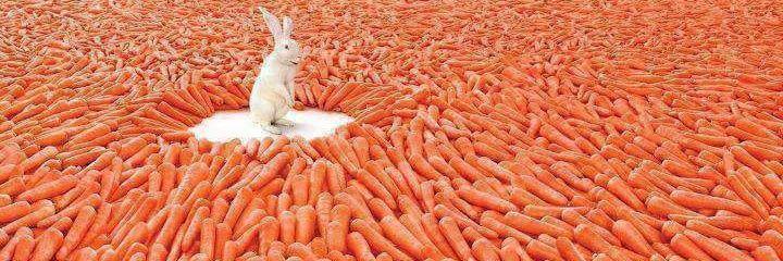 Andreas Johansen banner