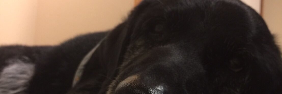 Toooom10's profile banner image
