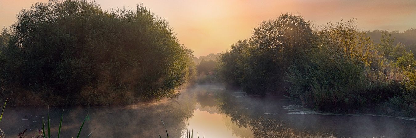MrBrianRoe's profile banner image