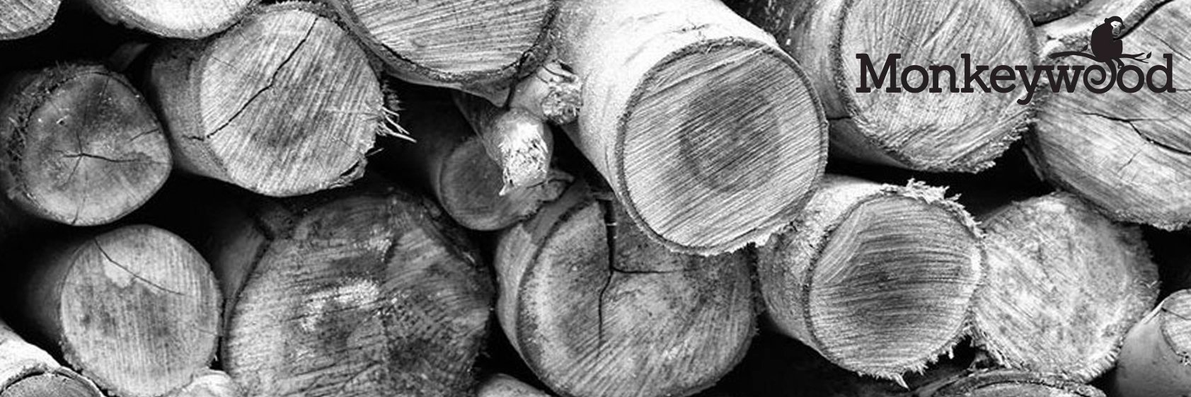 Monkeywood12's profile banner image