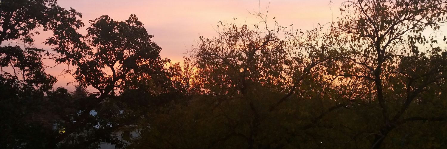 mrsuhr's profile banner image