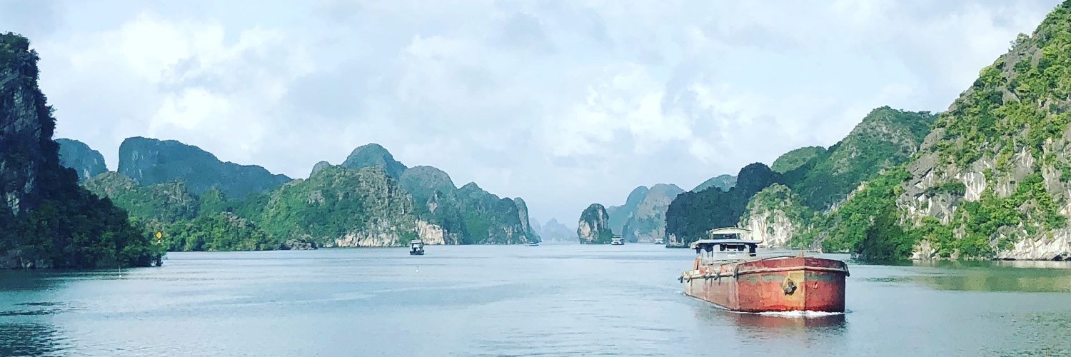 Simone Darling banner