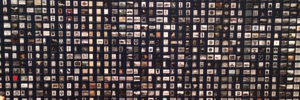 raedle Profile Banner