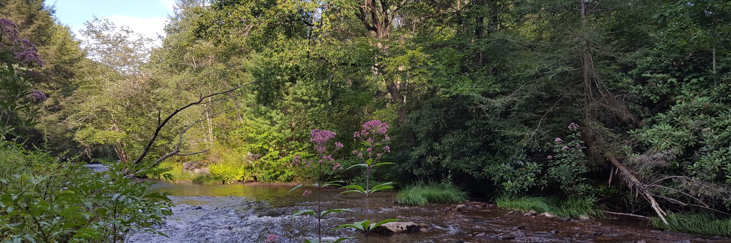 Shauna Bennett banner