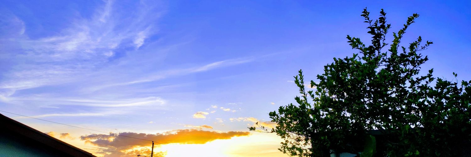 tpinzon29's profile banner image